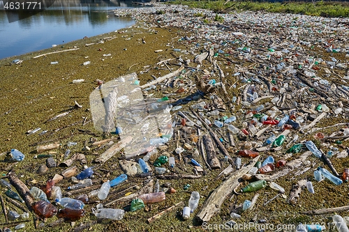 Image of Plastic bottles in water