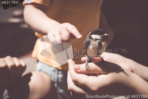 Image of little boy is playing with a chick at the day time.
