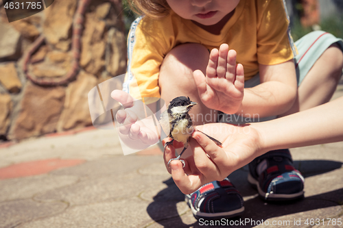 Image of little boy is playing with a chick at the day time.