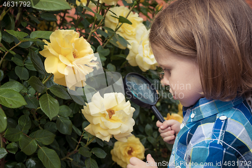 Image of Happy little boy exploring nature with magnifying glass at the d