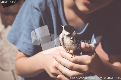 Image of little boy is playing with a chick at the day time.