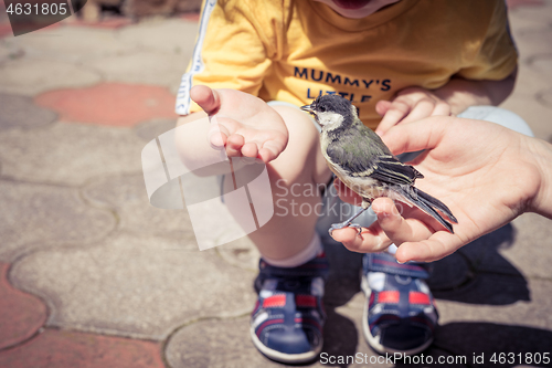 Image of little boy is playing with a chick at the day time.