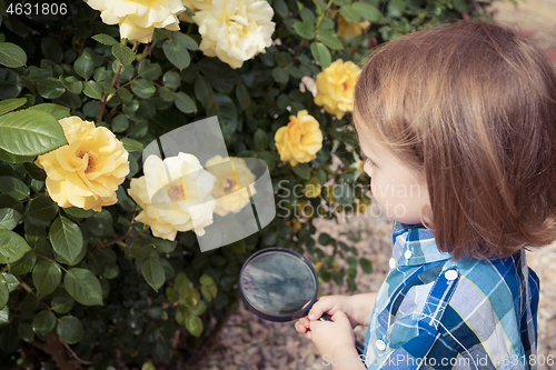 Image of Happy little boy exploring nature with magnifying glass at the d