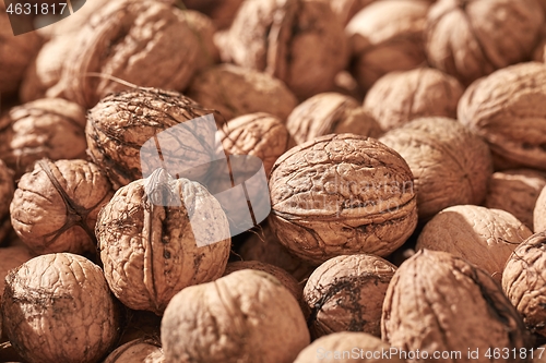 Image of Walnuts in a pile