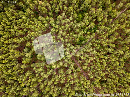 Image of Aerial top view above forest area.