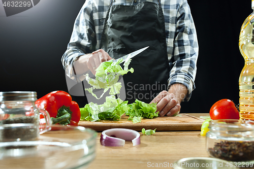 Image of Preparing salad. Female chef cutting fresh vegetables. Cooking process. Selective focus