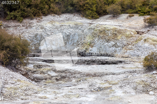 Image of geothermal activity at Rotorua in New Zealand