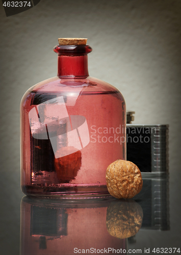 Image of Still life with bottle and walnut