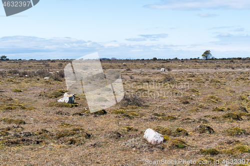 Image of Great barren alvar plain landscape