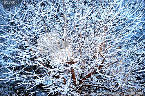 Image of Winter snow outdoors.