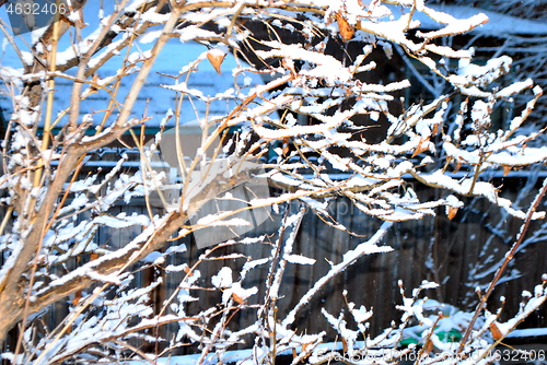 Image of Winter snow outdoors.