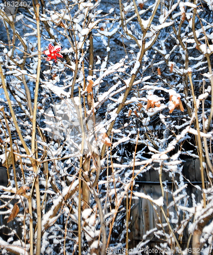 Image of Winter snow outdoors.