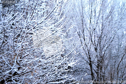 Image of Winter snow outdoors.