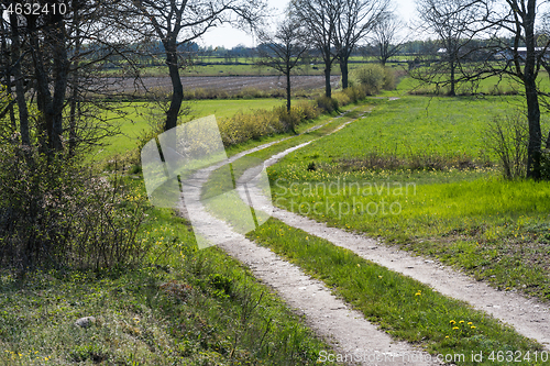 Image of Winding country road by spring season