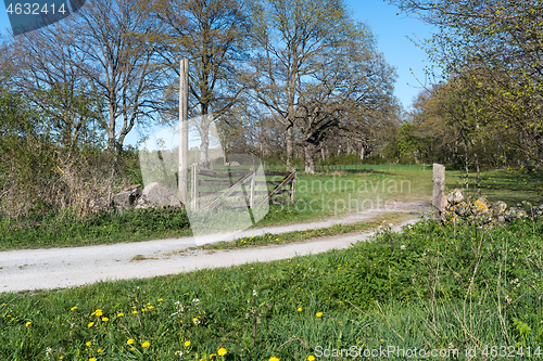 Image of Old wooden gate by a country road in spring season