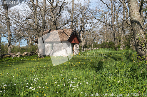 Image of Springtime by a sheep shed in a green meadow