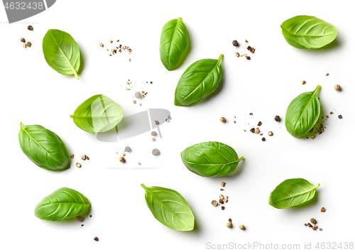 Image of flat lay composition of basil leaves