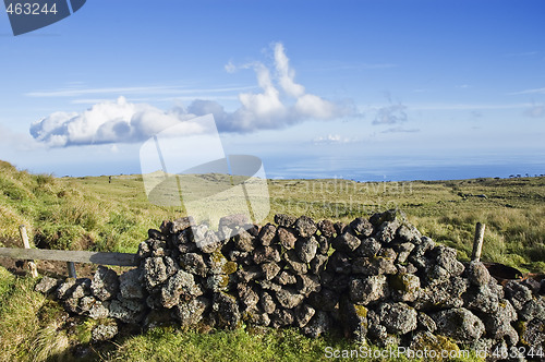 Image of Pasture landscape of Pico island, Azores