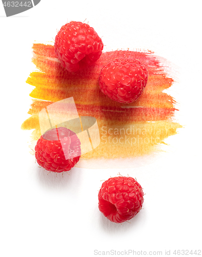 Image of fresh raw raspberries on watercolor paint