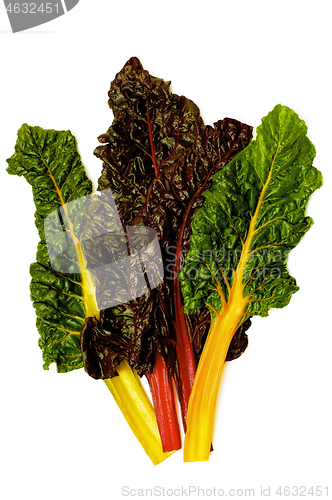 Image of Fresh Chard Leafs