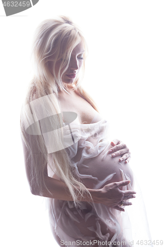 Image of Young Pregnant Woman In High Key