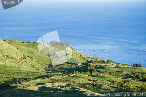 Image of Pasture landscape of Pico island, Azores