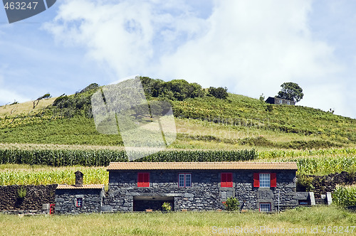 Image of Beautiful farmhouse in Pico island, Azores