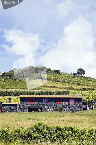 Image of Beautiful farmhouse in Pico island, Azores