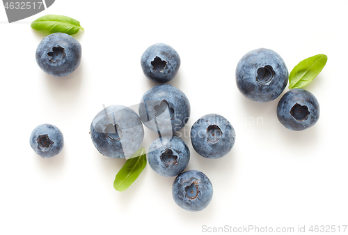 Image of fresh ripe blueberries