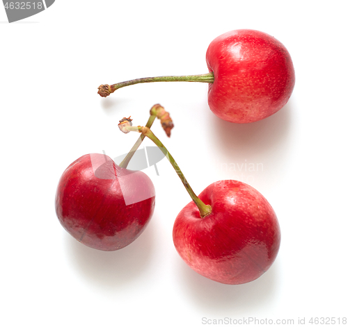 Image of fresh ripe sweet cherries