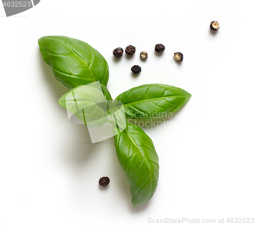 Image of fresh green basil leaves and pepper