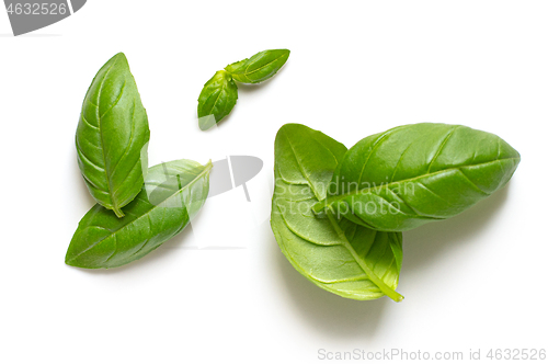 Image of fresh basil leaves