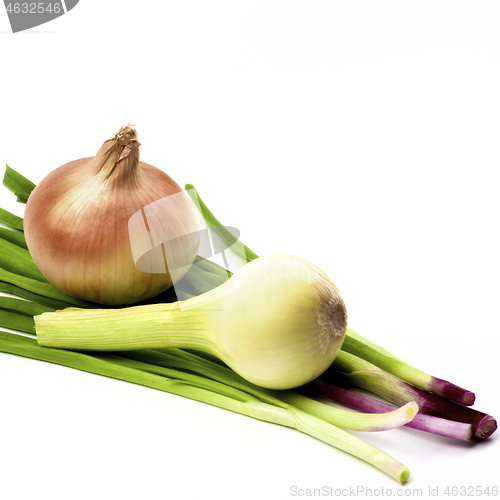 Image of Fresh Various Onions