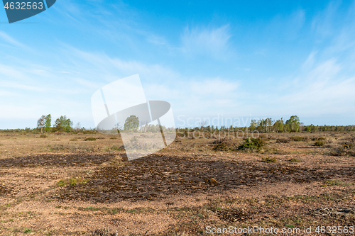 Image of Limestone bedrock in a wide open barren landscape