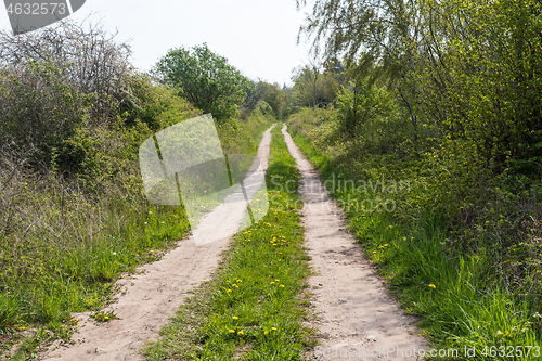 Image of Green dirt road in spring season