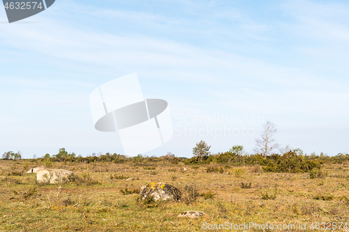 Image of Great barren grassland Stora Alvaret in Sweden