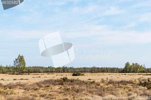 Image of Great plain barren grassland in spring season