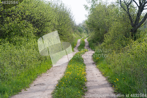 Image of Dirt road with lush greenery in leafing season