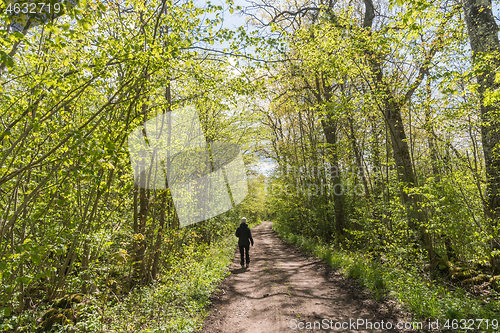 Image of Walking on a footpath in spring season