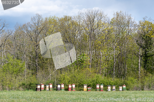 Image of Colorful bee hives line up