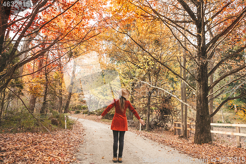 Image of Enjoying the beautiful countryside in Autumn