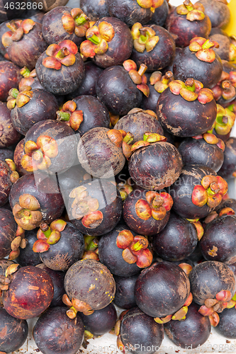 Image of Mangosteen