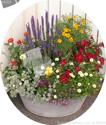 Image of Flowers in a tub