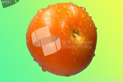 Image of Tomato on green Bg.