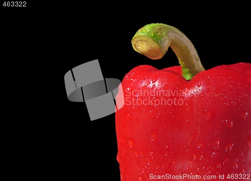 Image of Bell pepper