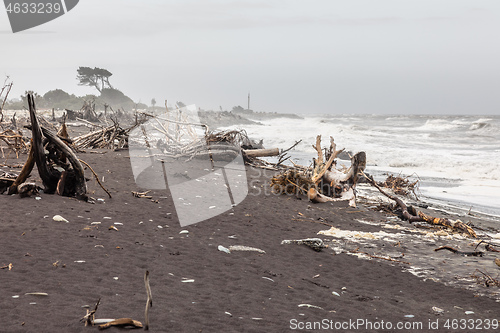 Image of jade beach Hokitika, New Zealand