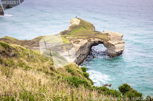 Image of Tunnel Beach New Zealand