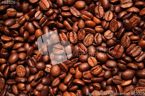 Image of Coffee beans