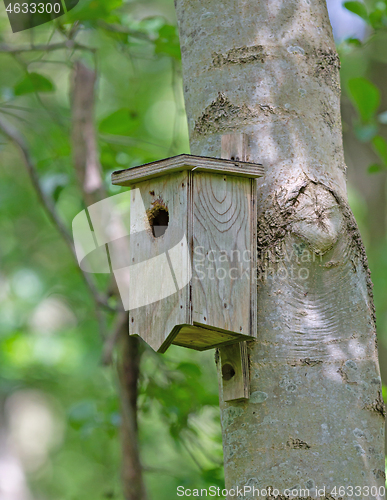 Image of Wooden bird house on tree