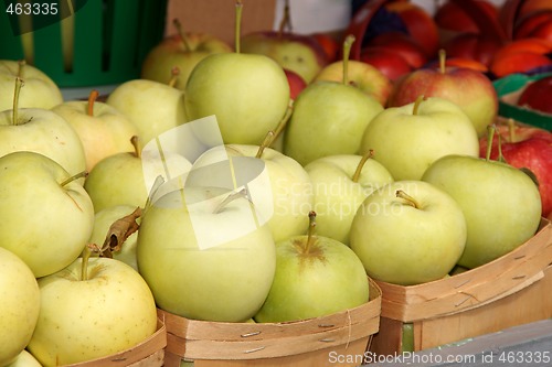 Image of Apples at the market